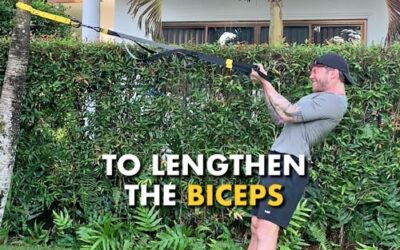 3 Tips To Take TRX Bicep Curls To The Next Level For Sculpted Arms